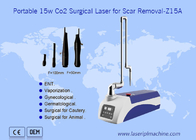 De draagbare 10600nm-van de de Laserhuid van Co2 Chirurgische Machine van de het Littekenverwijdering voor Huisdieren