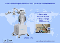 Low Level 6D Laser Vet Verminder 532nm Groen 635nm Rood Licht Therapie Koud Laser Therapie Apparaat