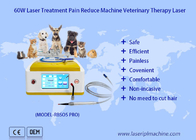 980nm Therapie van de diode de Veterinaire Laser voor Huisdieren het Gekronkelde Helen