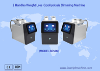 360 Graad 2 van de het Vermageringsdieetmachine van Handvattencryolipolysis Draagbaar het Gewichtsverlies