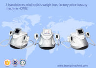 3 van de het Vermageringsdieetmachine van Handpieces Cryolipolysis van het het Gewichtsverlies de Schoonheidsmateriaal CR02
