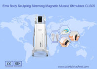 EMS-Machine van de de Spierstimulator van het Lichaamsvermageringsdieet de Magnetische