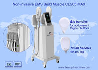 4 handvat niet Invasieve Professionele EMS Machine voor Gewichtsverlies