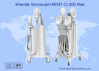 Verticale Sinco beeldhouwt van de de Spierreparatie van de Brandwond Vette Bekkenvloer ODM EMS hallo -hallo-emt Machine