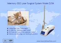 Microprocessorbesturing CO2-lasermachine met medische chirurgische laser