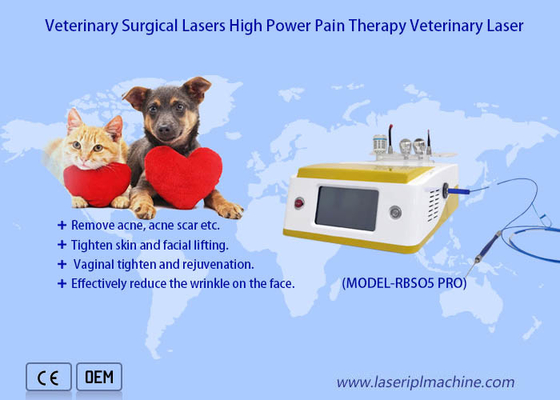 Van de de Terugwinnings Chirurgisch 980nm Diode van de huisdierenpijn van de de Laser Veterinair Therapie de Laserapparaat