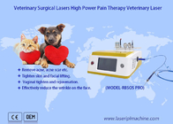 Van de de Terugwinnings Chirurgisch 980nm Diode van de huisdierenpijn van de de Laser Veterinair Therapie de Laserapparaat