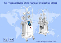 Het Vet die van de het Vermageringsdieetmachine van Cryolipolysis van het gewichtsverlies Liposuction 80kpa bevriezen