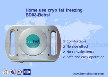 Van het het antivriesmiddelenstootkussen van Cryo van het huisgebruik mini van het cryolipolysislichaam het vermageringsdieetmachine