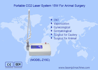 Draagbare Lcd Veterinaire Co2 Laser Voor Dierenchirurgie Co2 Laser Chirurgisch Apparaat