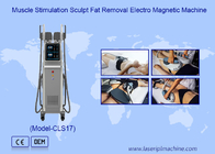 Vetverbranding Gewichtsverlies Ems Rf Elektromagnetische lichaam sculptoring machine