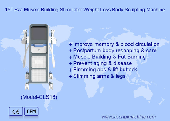 Vettverbranding en verzenddiensten met EMS Electronic Muscle Stimulator Machine