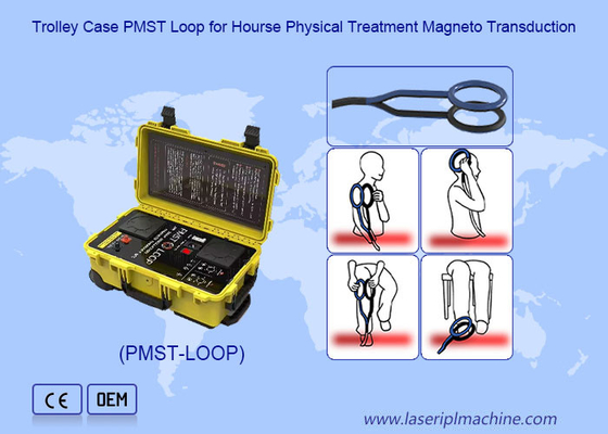 Magnetotherapie Magnetische veldtherapie met 4500 HZ oscillatie