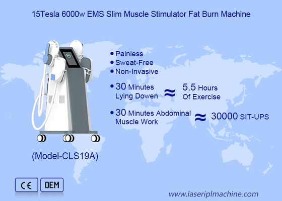 Tesla Sculpting  Electo Magenetic Body Slimmingting Machine voor vetverbranding en body sculpting