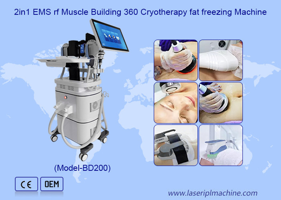 EMS RF spieropbouw 40k cavitatie 360 cryotherapie vetvriezer