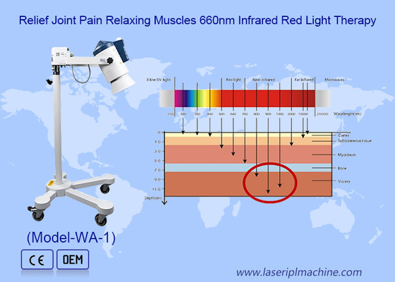 Multifunktioneel infrarood lichttherapieapparaat Water gefilterd verlichting spierpijn