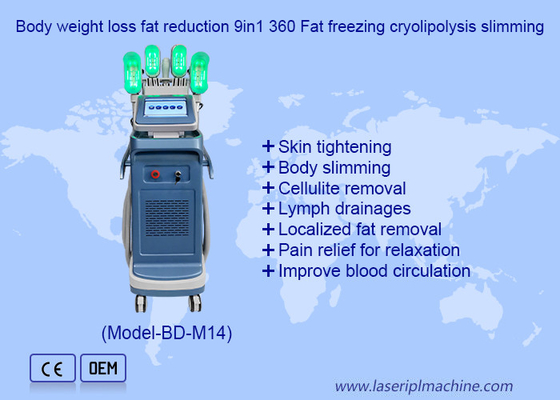 Gewichtsverlies vetvermindering 9in1 360 Vetvriezing cryolipolyse afslanking