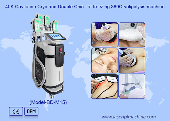 5 in1 Criolipolisis Cellulitis Reductie Dubbele Kin 360 Graden Cryo Machine