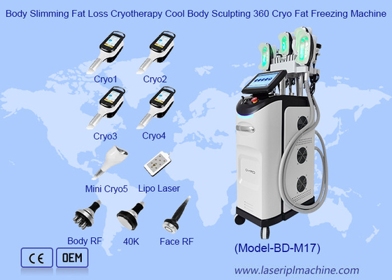 Lichaamsverlies Gewichtsverlies Cryotherapie Cool Body Sculpting 360 Cryo Fat Freezing Machine