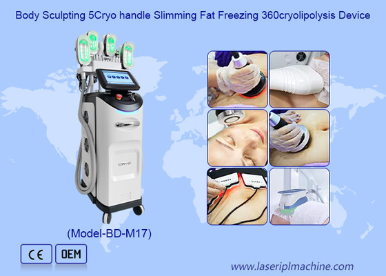 Professioneel Cryolipolysis-van het het Gewichtsverlies van de Vermageringsdieetmachine de Schoonheidsmateriaal