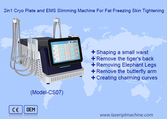 2 in 1 Cryo Plate En EMS Slimming Machine Voor Vet Bevriezing Huid Strengthening