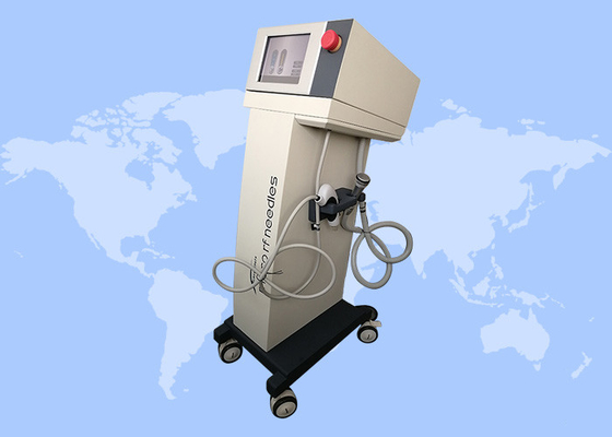 Rimpelverwijdering Stretch Mark Verwijdering Anti-aging Microneedling Fractionele RF Machine