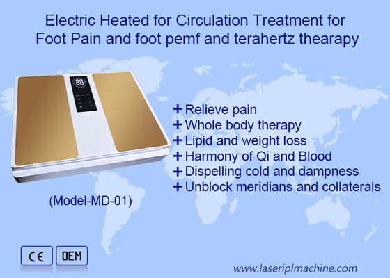 2in1 EMS Terahertz gezondheidszorg voor voetmassage Terahertz therapie machine