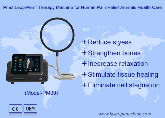 Draagbare magnetische therapie lus hoge intensiteit fysiomagnetische machine
