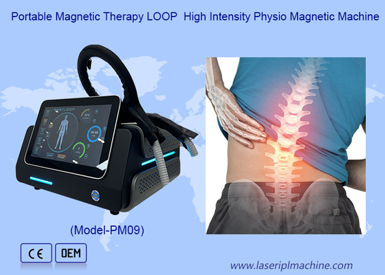 Pmst Loop Pemf Therapie Machine voor Menselijke Pijnverlichting en Diergezondheidszorg