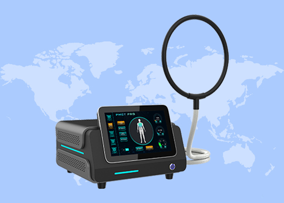 Pmst Loop Pemf Therapie Machine voor Menselijke Pijnverlichting en Diergezondheidszorg