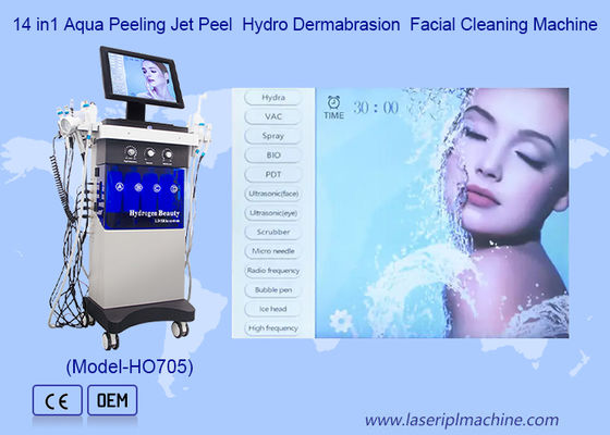 14 In 1 Ultrasone Scrubber RF Bio Gezichtsreiniging Hydrodermabrasie Machine