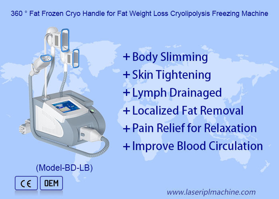 3 Handvatten Cryolipolyse Vet Bevriezing Machine Voor Dubbele Kin En Lichaam Afslanken