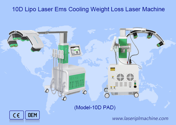 Groen-Rode Cryo Pads 10d Laser Fat Removal Maxlipo Master Device