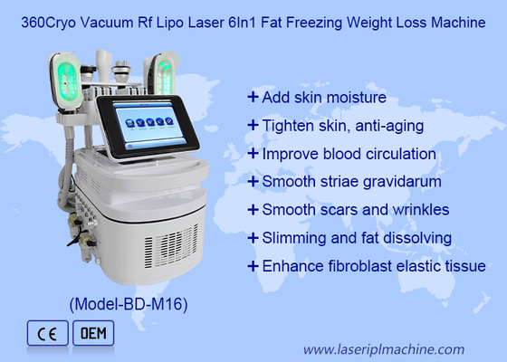 Draagbare van het huiscryolipolysis van de cryolipolysis vette vorst liposuctionmachine