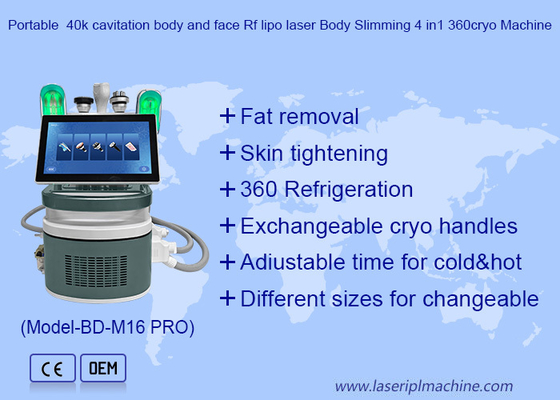 Professionele cryolipolysisvet het bevriezen/van het cryolipolysisvermageringsdieet machine