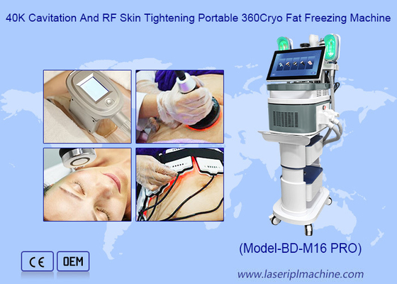 Professionele cryolipolysisvet het bevriezen/van het cryolipolysisvermageringsdieet machine