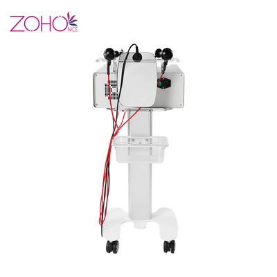 Goede prijs Het vette Messenlichaam die de Schoonheidsmachine vormen van de Huidverjonging 220v Rf ROOT CET online