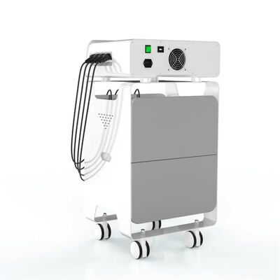 Goede prijs EMS-van de het Materiaal Rugpijn van Radiofrequentieeswt de Hulpgezondheidszorg online