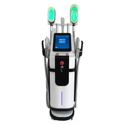 Goede prijs Spa 360 Cryolipolysis Afslankparaat Vetvriezen Electro Magnetic body Slim Spierstimulatie Lichaam online