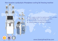 Cryolipolysis de Vette het Bevriezen Machine van de de Machine Vacuümcavitatie Rf van het verliesvermageringsdieet