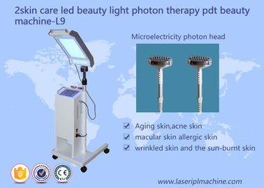 10HZ 415mm huidverzorging gezichtslifting PDT LED Beauty Light Therapy Machine