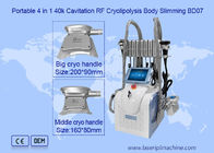 2 de Machine van het handvat650nm 1mhz Cryolipolysis Vermageringsdieet