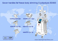 Vet die Dubbel Chine Removal Cryolipolysis Machine bevriezen