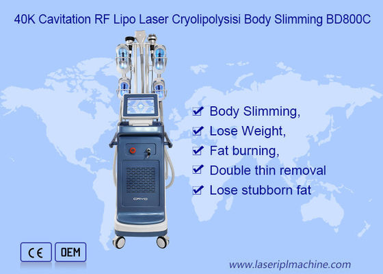 9 in 1 Vacuüm het Vermageringsdieetmachine van 800VA Cryolipolysis