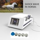 De draagbare Veterinaire Fysieke Machine van de TherapieDrukgolf voor Paard