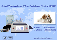 De dierlijke van de de Lasermachine van de Gebruiks Draagbare 980nm Diode Witte Multifunctionele Functie