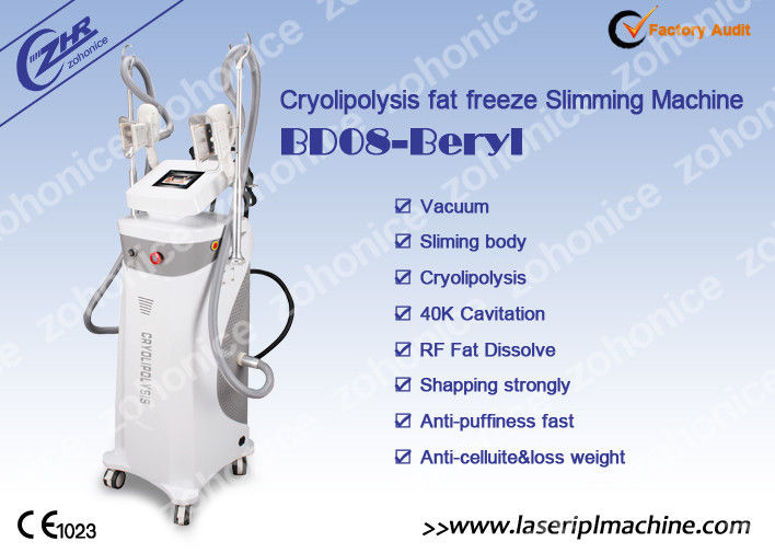 40K Verticaal van de het Vermageringsdieetmachine van cavitatie de Scherpe Cryolipolysis voor Gewichtsverlies