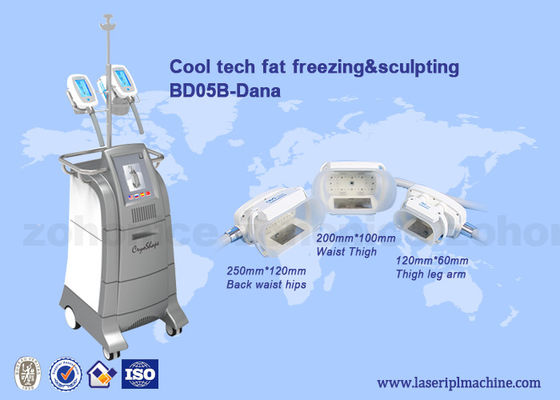 Goede prijs 3 cryolipolysis koel slank lichaam die van groottehandvatten materiaal/criolipolisys machine beeldhouwen online