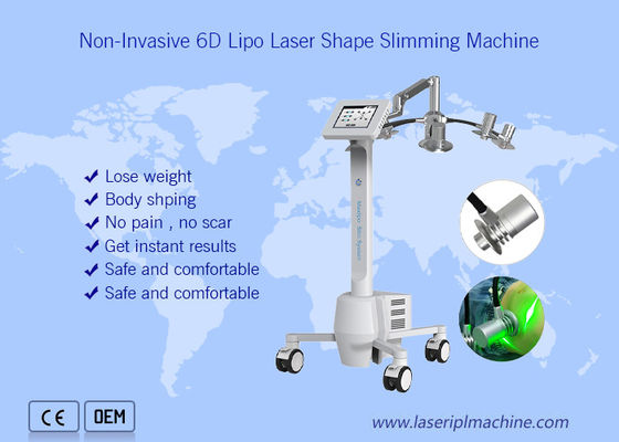 Goede prijs De niet Invasieve van de het Vermageringsdieetmachine van 532nm Cryolipolysis Schoonheid van het het Lichaamsgewichtverlies 6d Gehele online