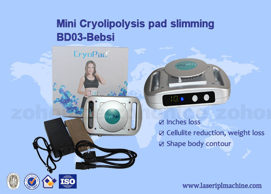 Goede prijs Huisgebruik Mini Cryolipolysis Machine 220v/110v-Vermageringsdieet online